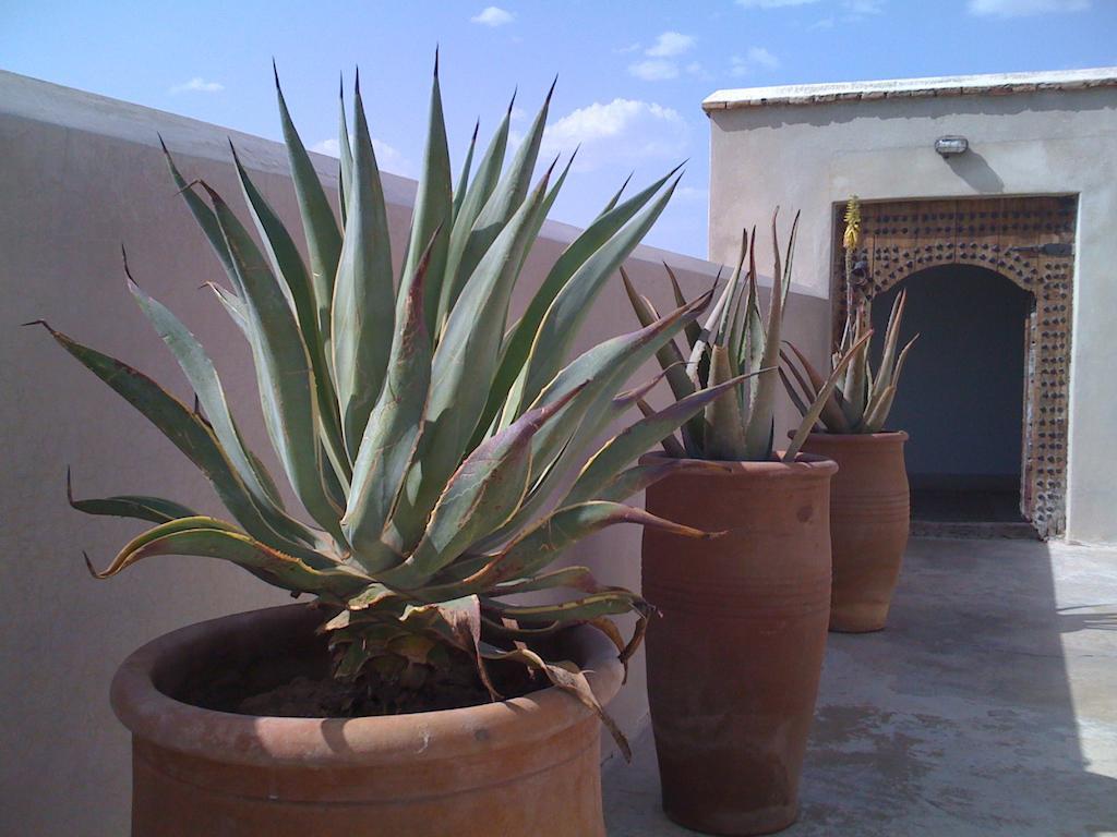 Riad Due Marrakesz Zewnętrze zdjęcie
